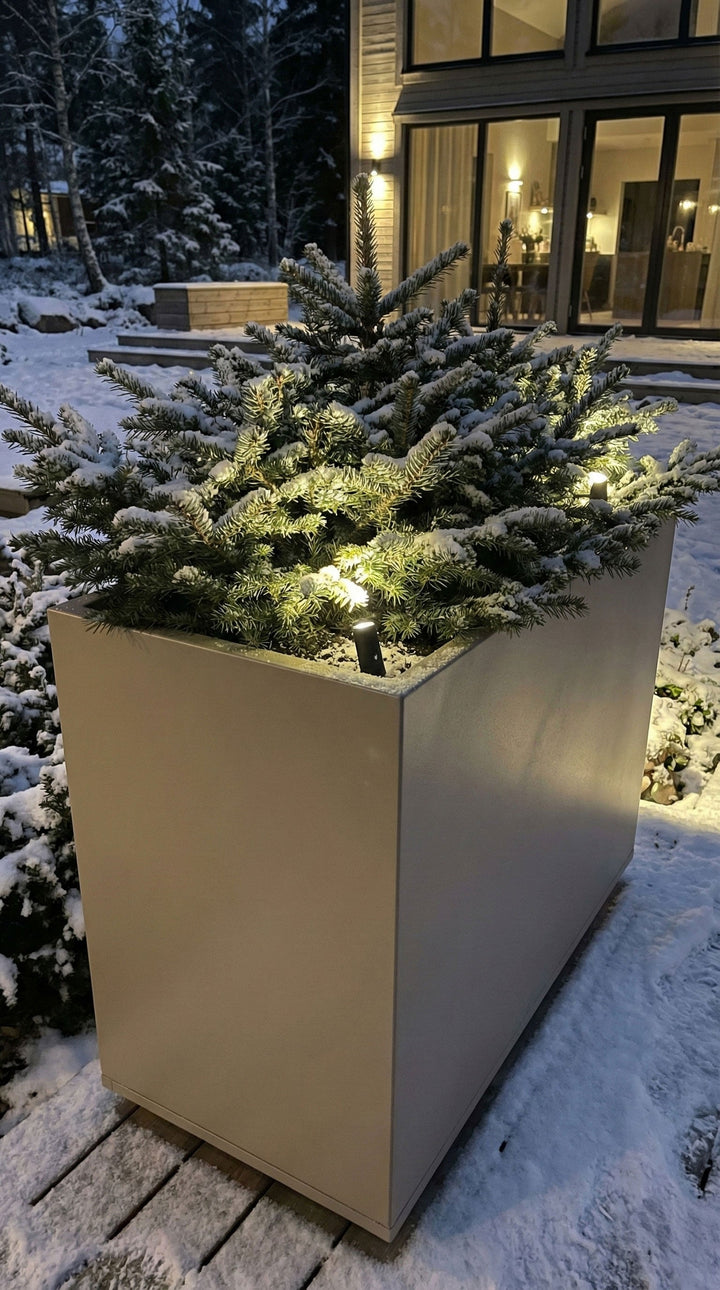 Belysning i trädgården: 5 tips som förvandlar din uteplats under vintern