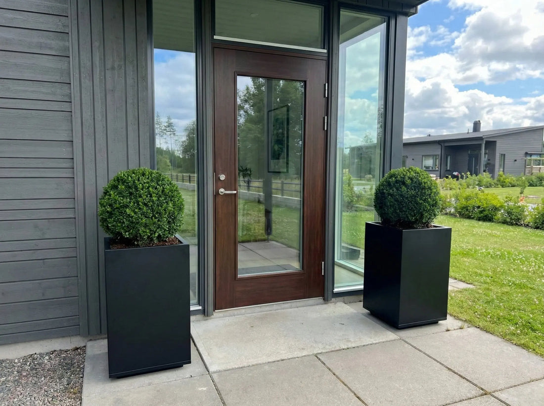 Designplåt Plant Box Kub svart utomhuskruka buxbom placerad vid entrén modernt hus