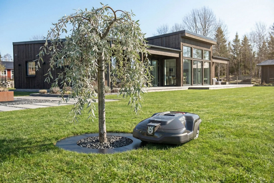 Robot trädring i en modern svensk miljö